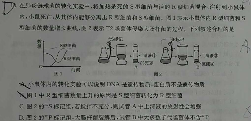 河南省2023-2024学年度七年级第一学期学习评价（1）生物学试题答案