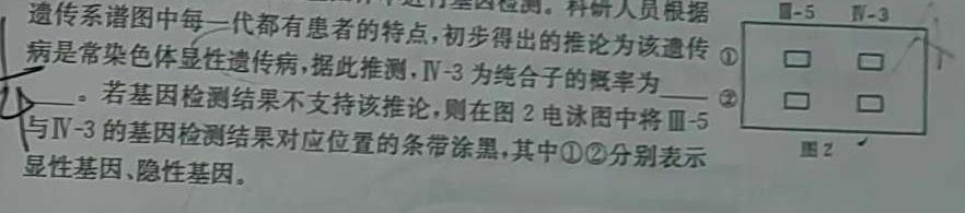 河北省2023-2024学年第一学期高二年级期中考试(242181Z)生物学试题答案