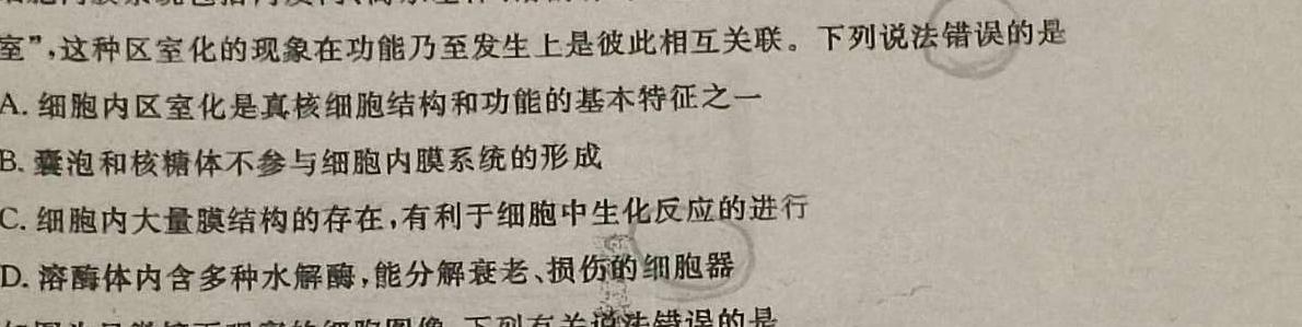 安徽省合肥市某校2023-2024学年度九年级第一学期期中考试生物学试题答案