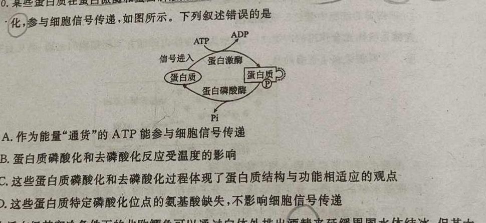 安徽省2023~2024学年度九年级阶段质量检测(R-PGZX D AH ☆)生物学试题答案