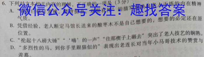 九师联盟·2024届高三10月质量检测巩固卷(新教材-LG）语文