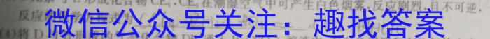 q安徽省2023-2024九年级上学期阶段性练习(二)化学