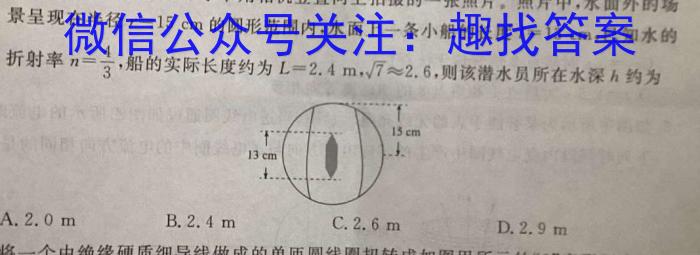 1号卷·A10联盟2026届高一上学期11月联考物理试卷答案