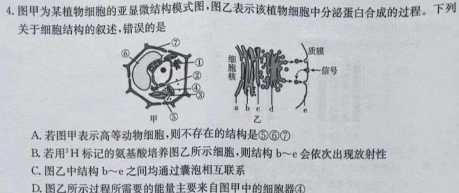 2023-2024学年湖南省高二10月联考(24-69B)生物试卷答案