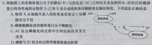 江西省2024届八年级第一次阶段适应性评估 R-PGZX A-JX生物学试题答案