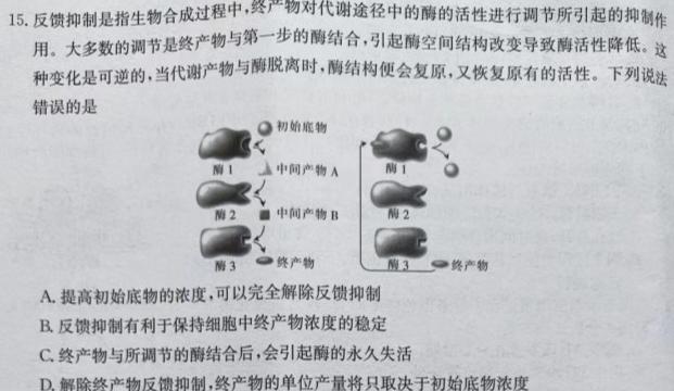 学科网2024届高三10月大联考考后强化卷(全国乙卷)生物学试题答案