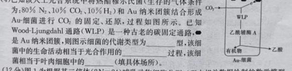 衡水金卷先享题2023-2024学年度高三一轮复习摸底测试卷摸底卷(山东专版)二生物学试题答案