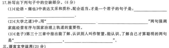 河南省2023~2024学年度九年级综合素养评估R-PGZX C HEN(二)2语文试卷 答案