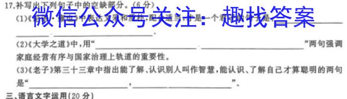 陕西省2024届九年级阶段性检测K/语文