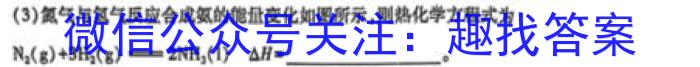 3安徽省2023-2024学年度八年级上学期阶段评估（一）【1LR】化学