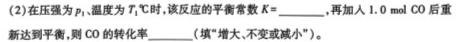 【热荐】2023-2024学年甘肃省高一期中检测(24-119A)化学