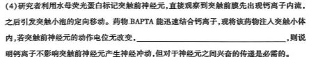 2024届湖南省高三试卷10月联考(☎)生物学试题答案