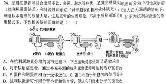 江西省2023-2024学年度（上）高一年级第一次月考试卷生物试卷答案