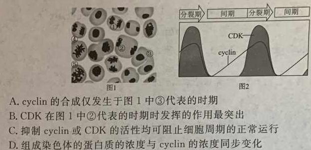 山西省榆次区2023-2024学年第一学期九年级期中学业水平质量监测题（卷）生物