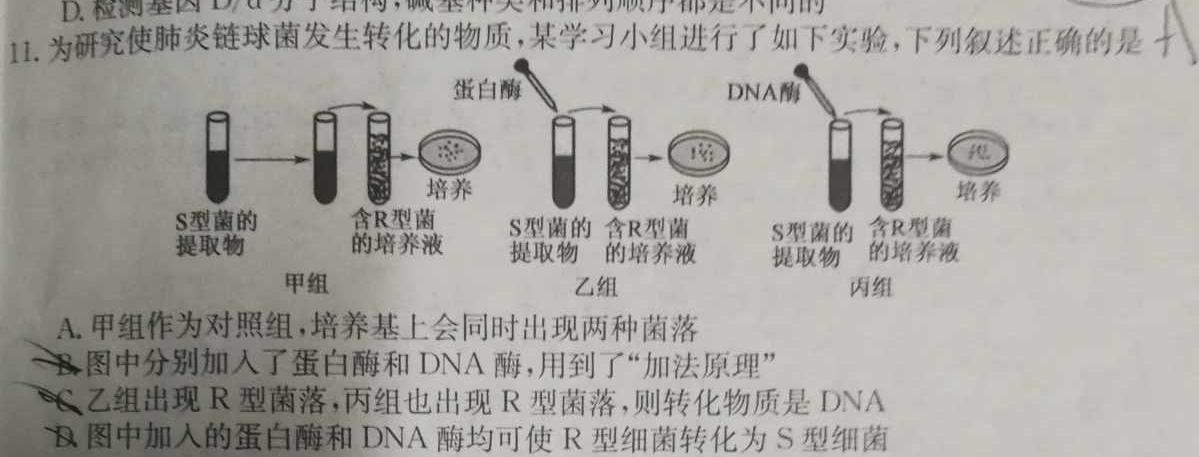 安徽省十联考 合肥一中2024届高三第一次教学质量检测(243060D)生物