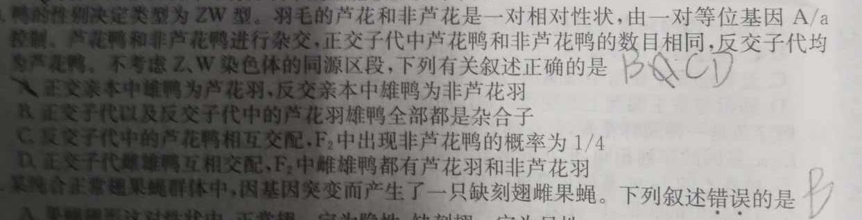 河南省洛阳市2025届高二10月联考生物