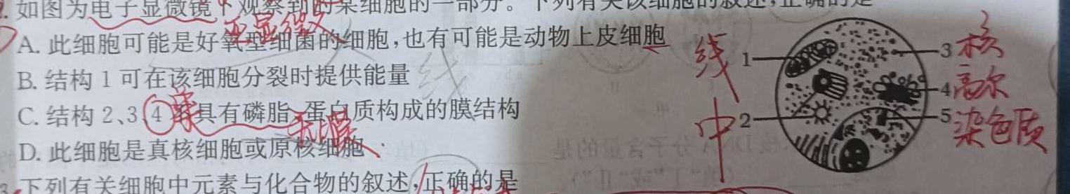 江西省2023-2024学年度（上）高一年级第一次月考试卷生物试卷答案