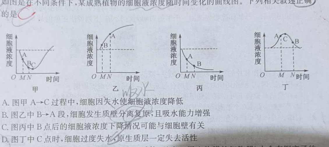 2023-2024学年安徽省七年级上学期阶段性练习（一）生物学试题答案