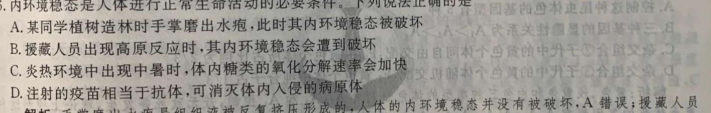 陕西省彩虹初中2023-2024学年度第一学期九年级期中考试生物