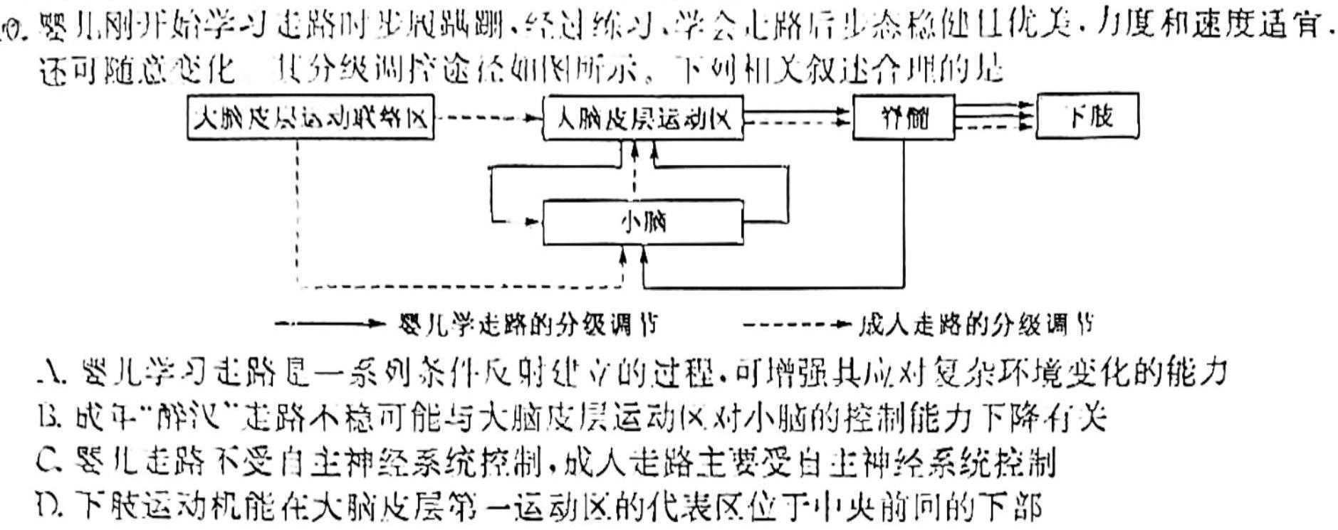 2023~2024学年山西省高二10月联合考试(24-36B)生物