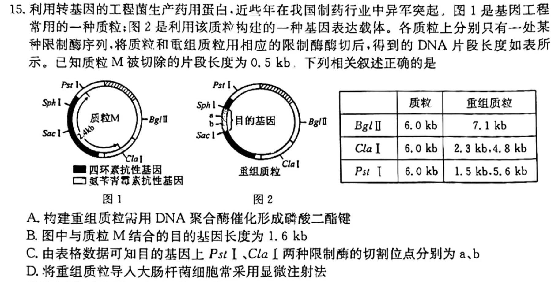 山西省太原市2024届九年级10月月考生物