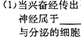 辽宁省2023-2024学年度上学期七年级阶段练习（一）生物学试题答案