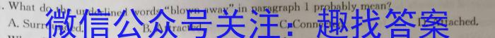 安徽省2023-2024学年度第一学期九年级10月份限时训练英语试题