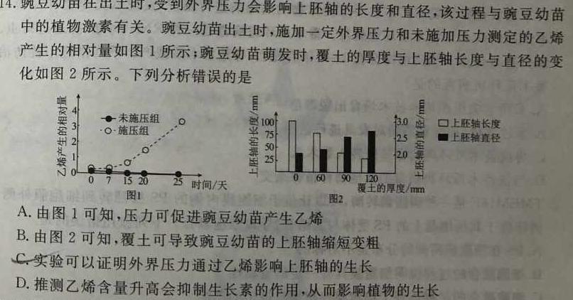 2024届高三第二次大联考试卷（XGK）生物学试题答案