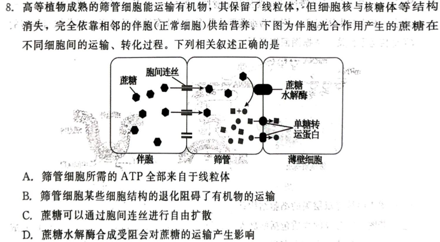 新疆兵团地州学校2023~2024学年高一第一学期期中联考(24-46A)生物试卷答案