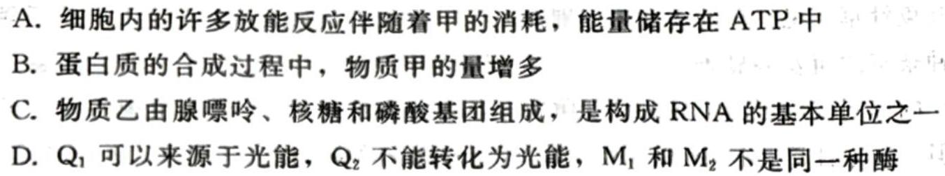 河南省2023-2024学年度第一学期八年级期中测试卷生物学试题答案