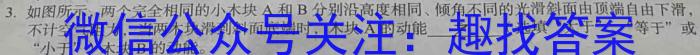 河南省洛阳市2025届高二10月联考物理`