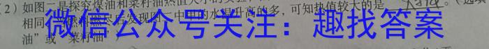 桂柳文化 2024届高考桂柳鸿图模拟金卷(三)f物理