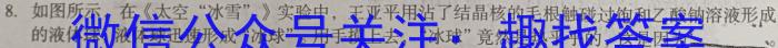 2024届广东湛江调研高三10月联考z物理