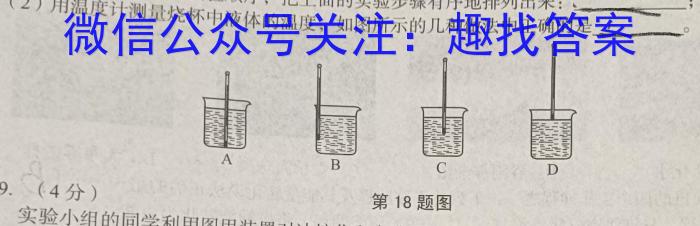 2024届普通高等学校招生统一考试青桐鸣高三11月大联考q物理