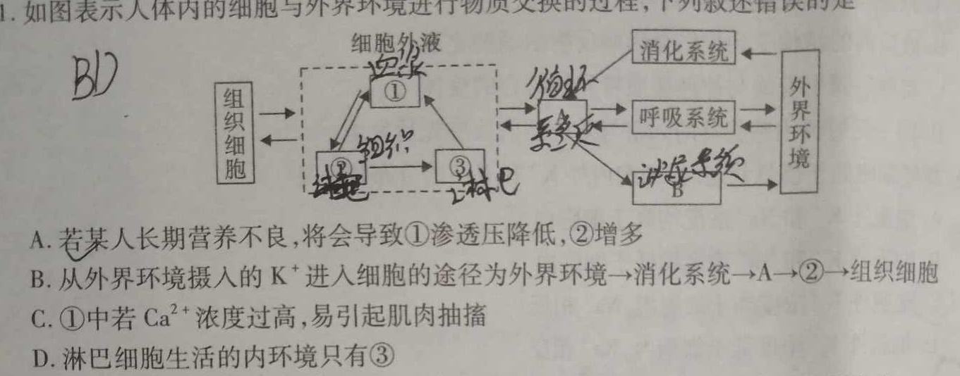 河北九年级2023-20234学年新课标闯关卷（二）HEB生物