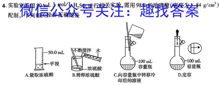 j河南省九年级2023-2024学年度综合素养评估（二）【R-PGZX C HEN】化学