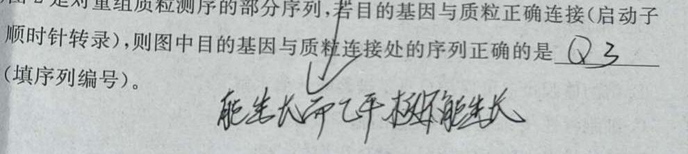 ［广东大联考］广东省2023-2024学年度高二年级上学期期中考试（10月）生物学试题答案