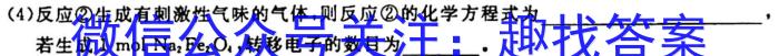 1陕西省2024届九年级期中教学素养测评（二）化学