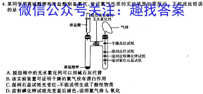 q安徽省2023-2024九年级上学期阶段性练习(二)化学
