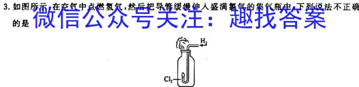 q河北九年级2023-20234学年新课标闯关卷（三）HEB化学