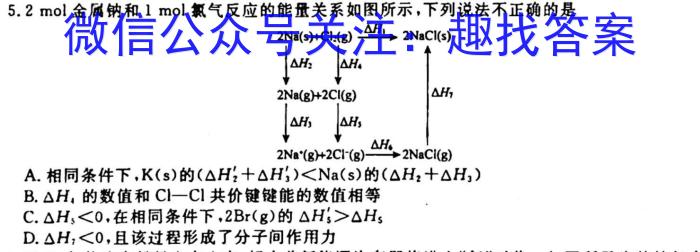 q云南省2023-2024学年秋季学期九年级基础巩固卷(一)1化学