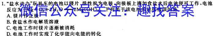 3江西省2024届九年级第一次阶段适应性评估 R-PGZX A-JX化学