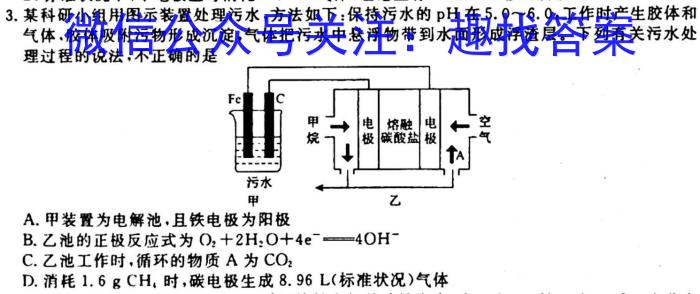 3河南省2023-2024学年七年级上学期阶段性评价卷一化学