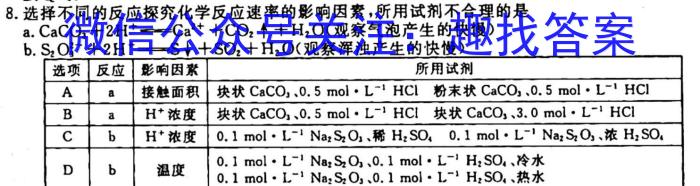 q江西省2024届九年级初中目标考点测评（十二）化学