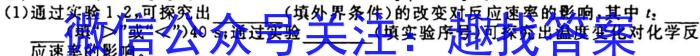 j河南省2023-2024学年度九年级上学期第一次月考质量检测化学