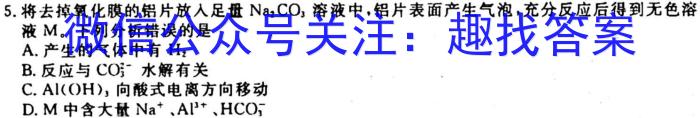 3衡水金卷先享题月考卷 2023-2024学年度上学期高三年级四调考试化学