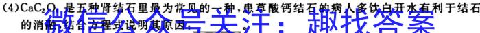 q广西省2023-20247学年高二年级10月阶段性考试化学