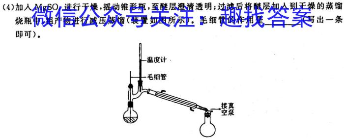 f辽宁省名校联盟2023-2024学年高一上学期10月联合考试化学