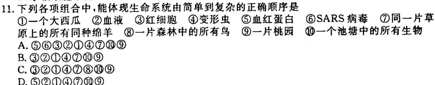 陕西省2024届高二10月联考(❀)生物学试题答案