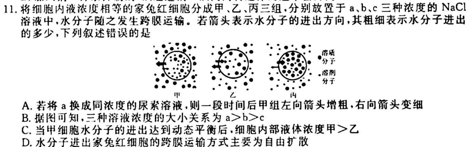[国考1号5]第5套 2024届高三阶段性考试(二)生物